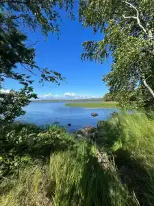 Рябинушка - 11