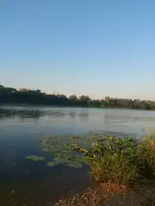 ГринЛандия - 51