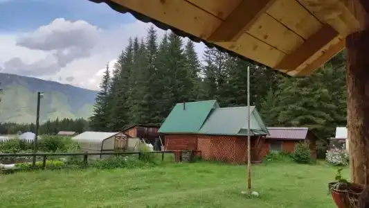Еловая Опушка - 25