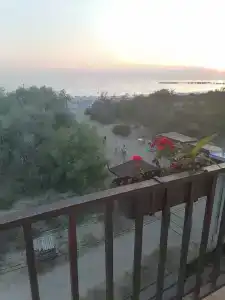 Авдаллини - 52