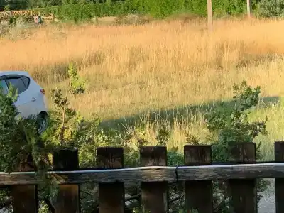 Страусиная ферма Экзотик - 17