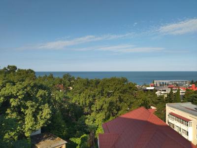 Пальмира - 92