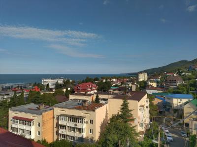 Пальмира - 90