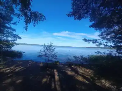 Холодный ручей - 31