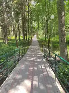 Звездочка - 4