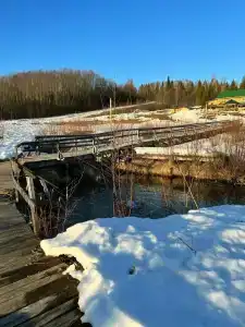 Родники - 50