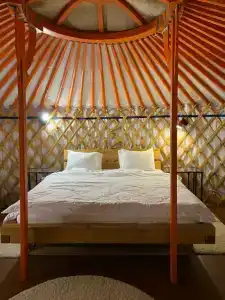 Байкал-Бабр - 3