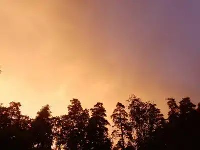 Лагерь Спартак - 6