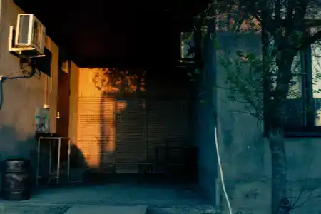 Тихий берег - 43