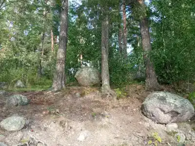 Парус - 88