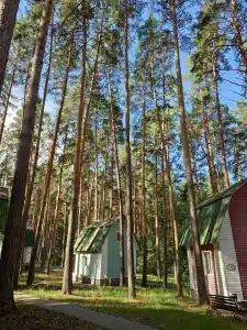 Берендей - 32