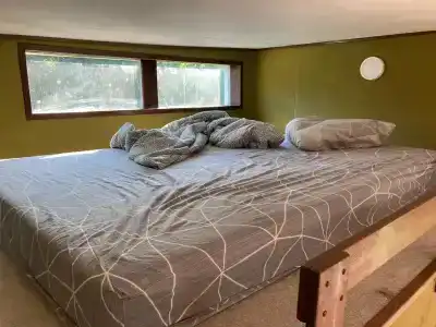 Смородина - 79