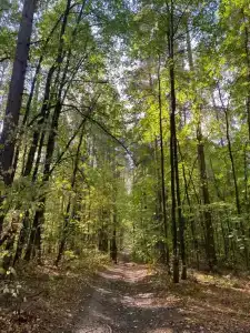 Монте-Карло - 14