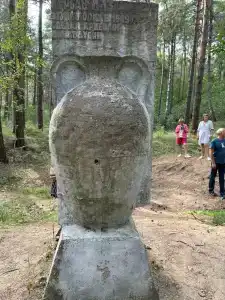 Борок - 51