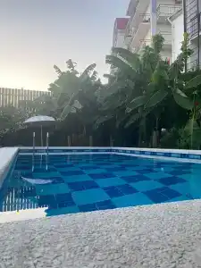 Фламинго - 38