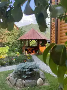 Усадьба у Гришаевых - 5
