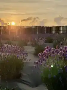 Веселовка Парк - 72