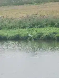 Николаевские Пруды - 94