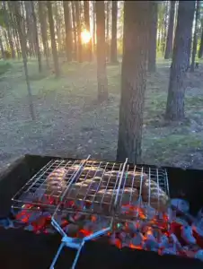 Усадьба на Шамокше - 48