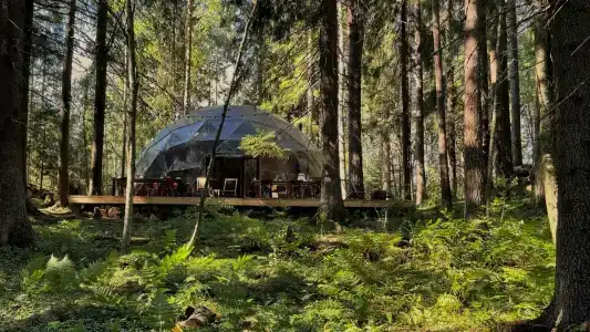 Villy Uley Karelia (Вили Улей Карелия) - 33