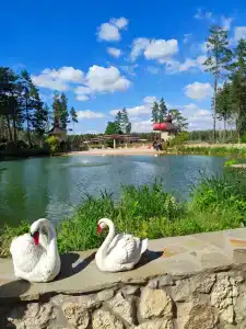 Лесная сказка - 4