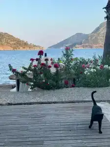 Orka Lotus Beach - 66