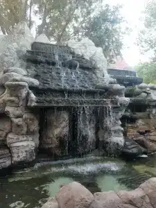 Золотая вилка - 1