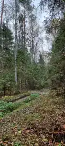 Сендега - 46