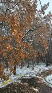 Пансионат Солнечный, комплекс Южный - 73