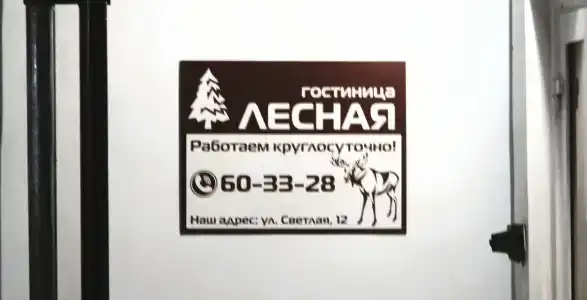 Лесная - 18