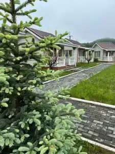 Царский дворик - 6