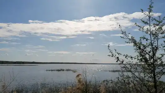 Любашин хуторок - 9