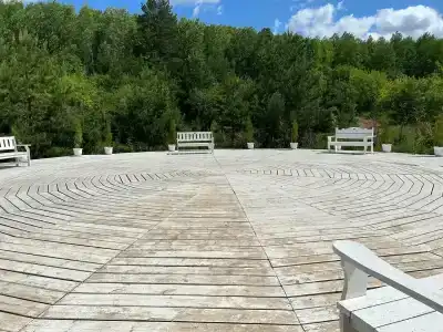 Медвежий угол - 1