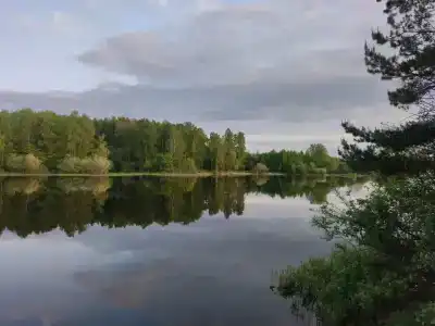 Чёрная речка - 5