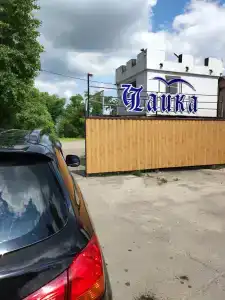 Чайка - 44