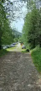 Таловский лог - 40