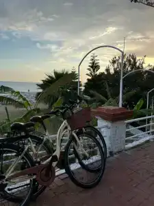 Blue Wave Suite - 44