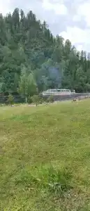 Юрток - 50