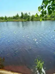 Свирицкая гавань - 25