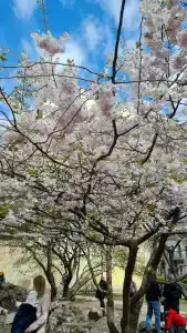 Литейный - 20