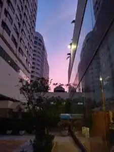 Prince Palace - Sha Extra Plus - 72