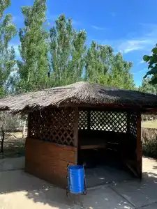 Оазис - 1
