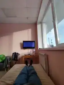 Медведь - 6