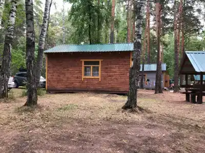 Лесная поляна - 69