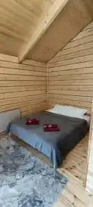 Forest camp - 35