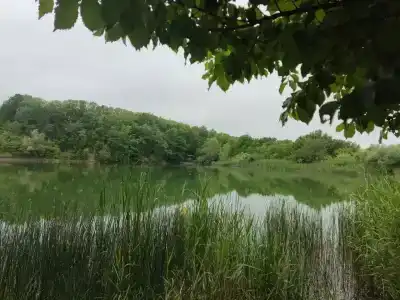 Родное - 94