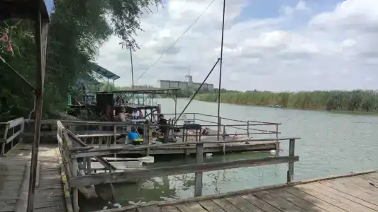 Портофлот - 20