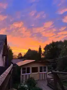 У Борисыча - 46