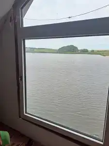 Золотая рыбка - 71