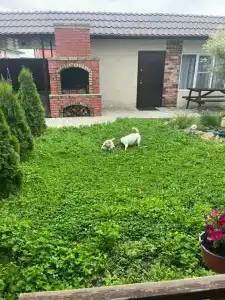 Гостевой дом на Янтарной 88 - 29